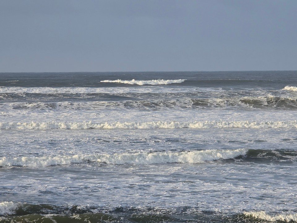 Carousel picture 5ft